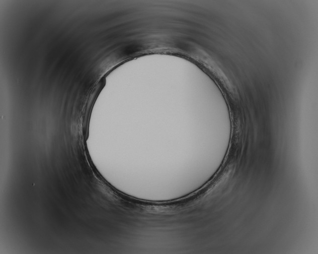 X0000086791281200705111808