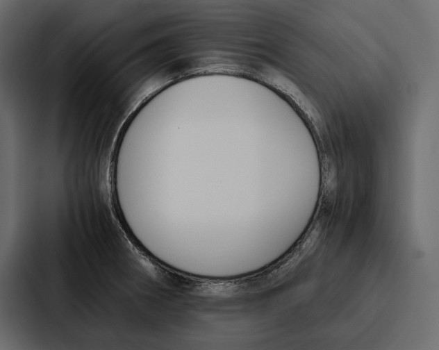 X0000086791282200705111808