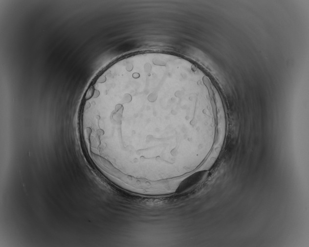 X0000086791283200705111808