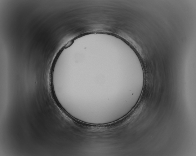 X0000086791285200705111808