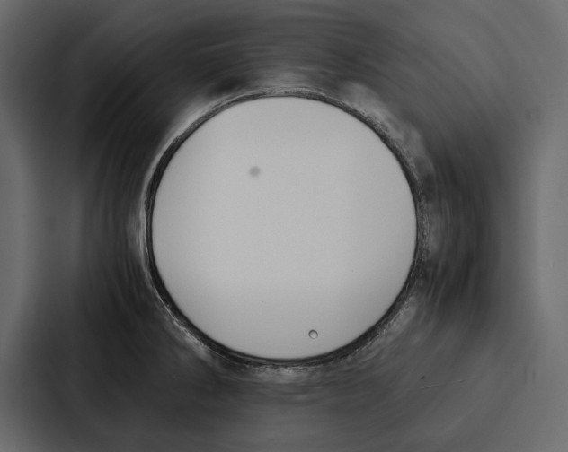 X0000086791286200705111808