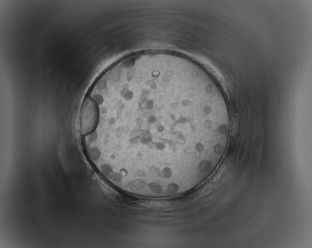 X0000086791287200705111808