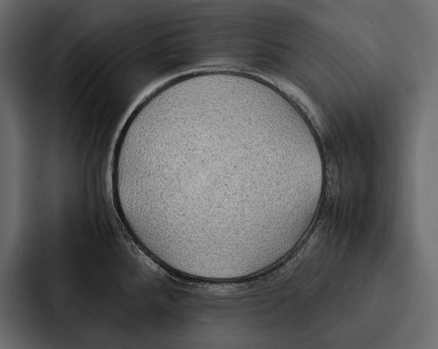 X0000086791288200705111808