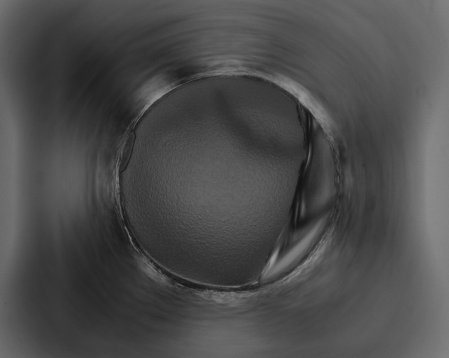 X0000086791289200705111808