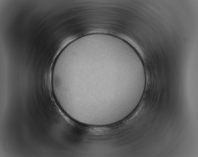 X0000086791290200705111808