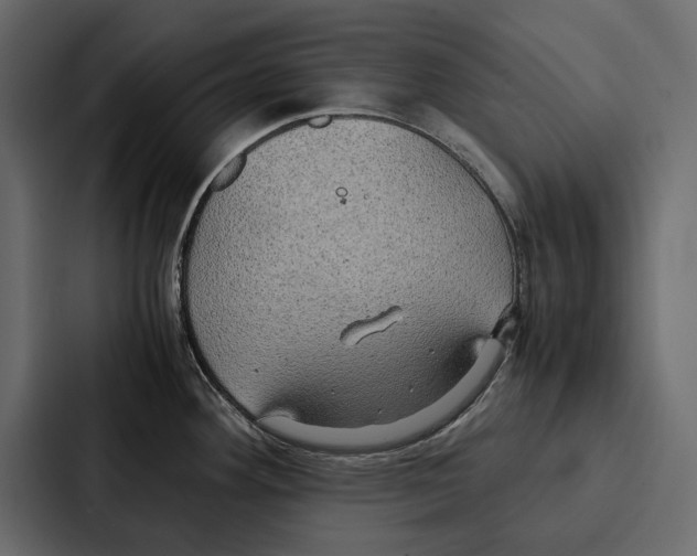 X0000086791292200705111808