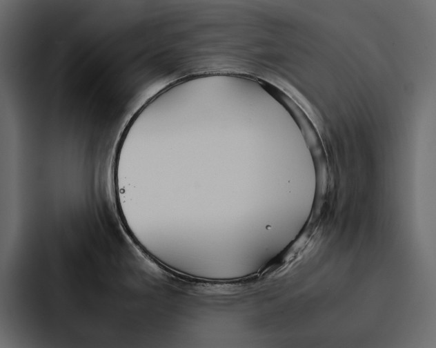 X0000086791293200705111808