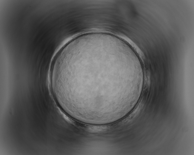 X0000086791294200705111808