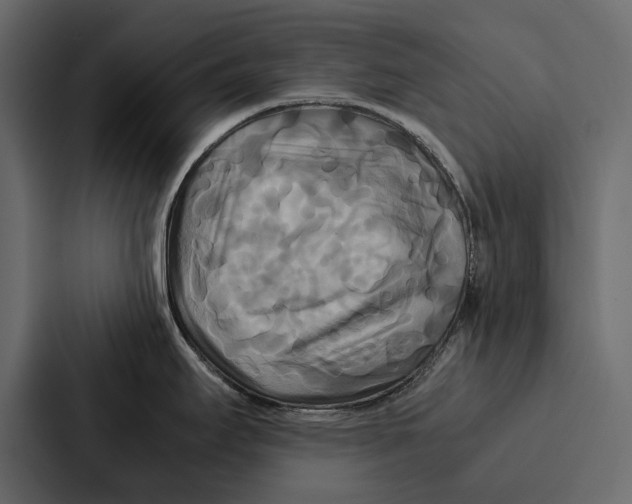 X0000086791295200705111808