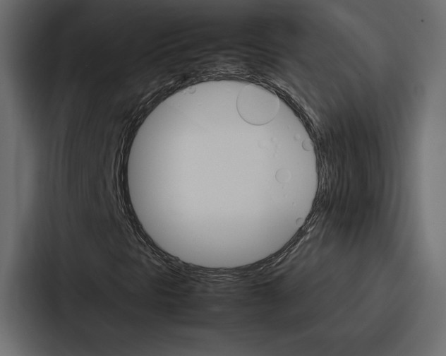 X0000086791297200705111807