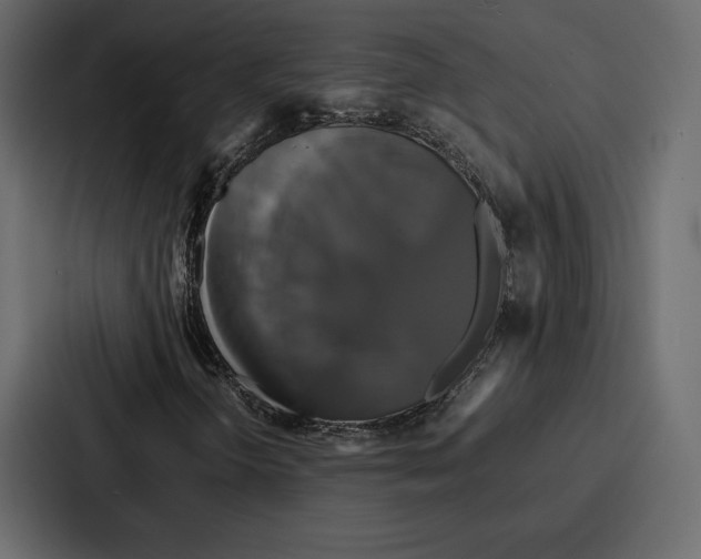 X0000086791298200705111807