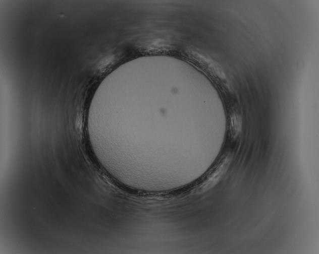 X0000086791300200705111807