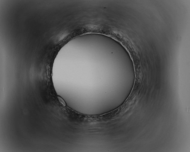 X0000086791301200705111807