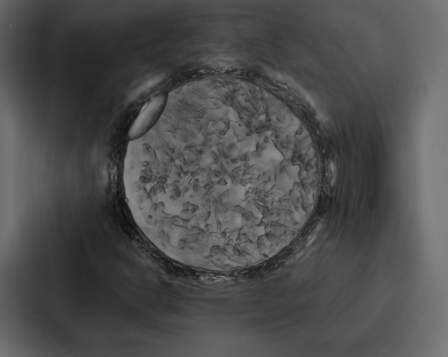 X0000086791302200705111807