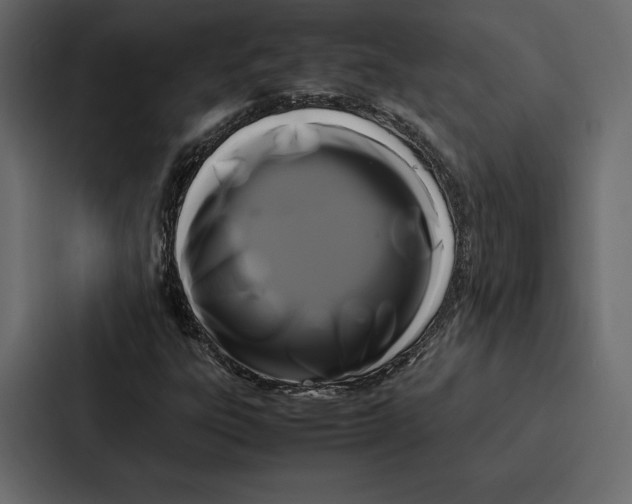 X0000086791303200705111807