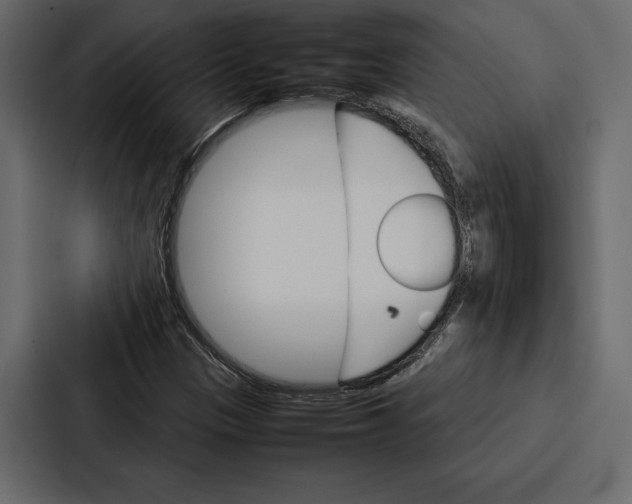 X0000086791305200705111807