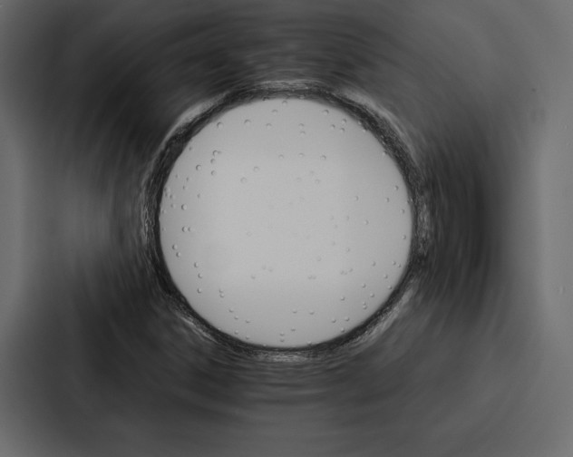 X0000086791306200705111807