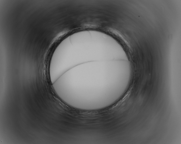 X0000086791307200705111807