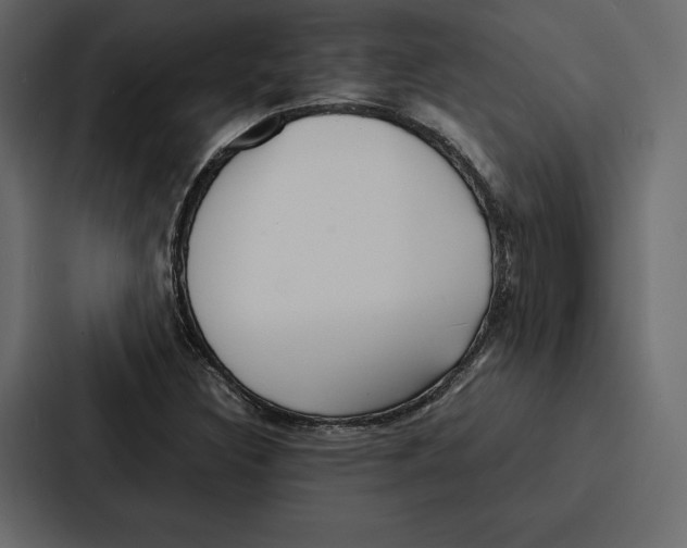 X0000086791308200705111807