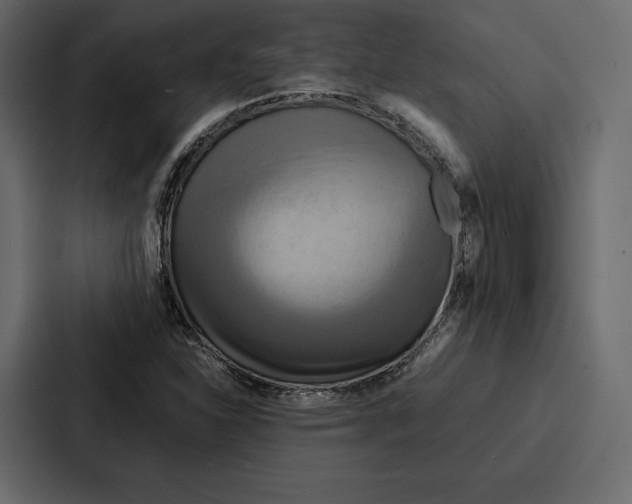 X0000086791310200705111807