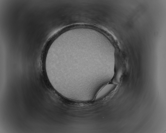 X0000086791311200705111807