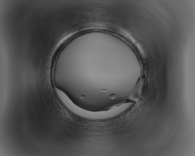 X0000086791312200705111807