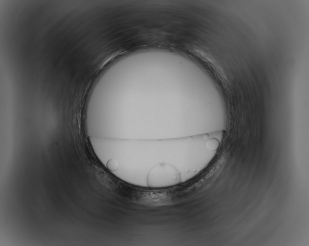 X0000086791313200705111807