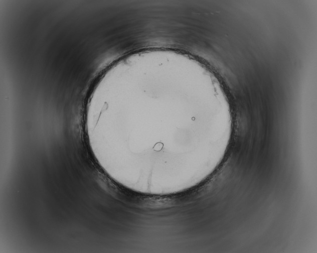 X0000086791314200705111807