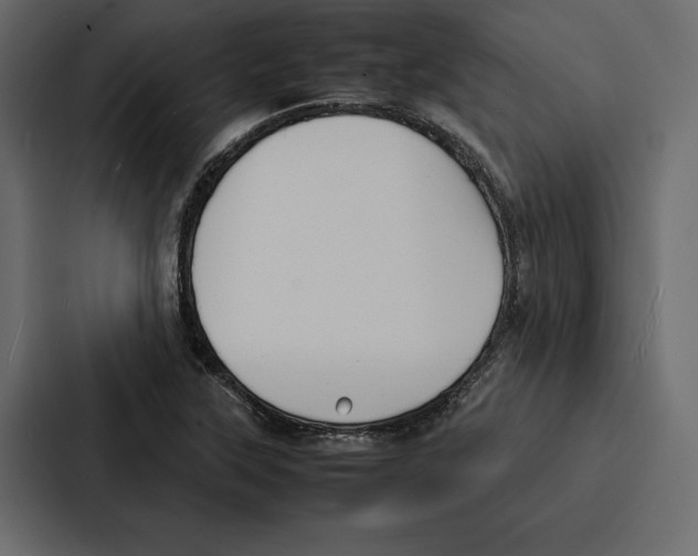 X0000086791315200705111807