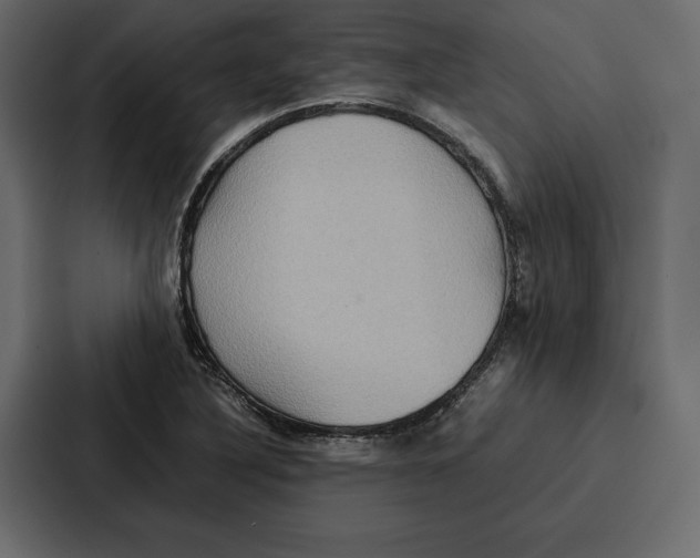 X0000086791316200705111807