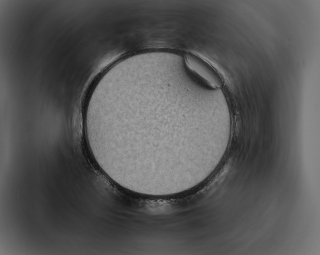 X0000086791317200705111807