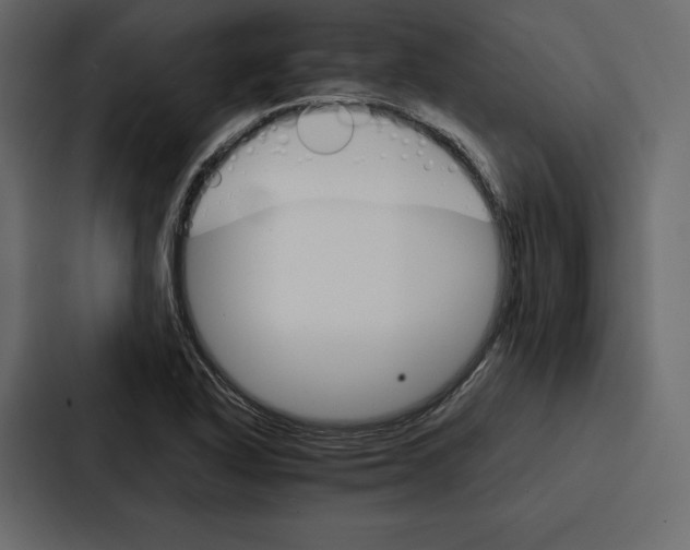 X0000086791318200705111807