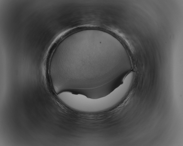 X0000086791319200705111807