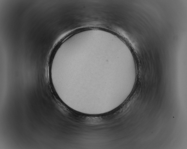 X0000086791320200705111807