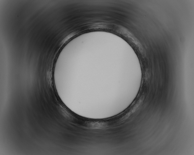 X0000086791321200705111807