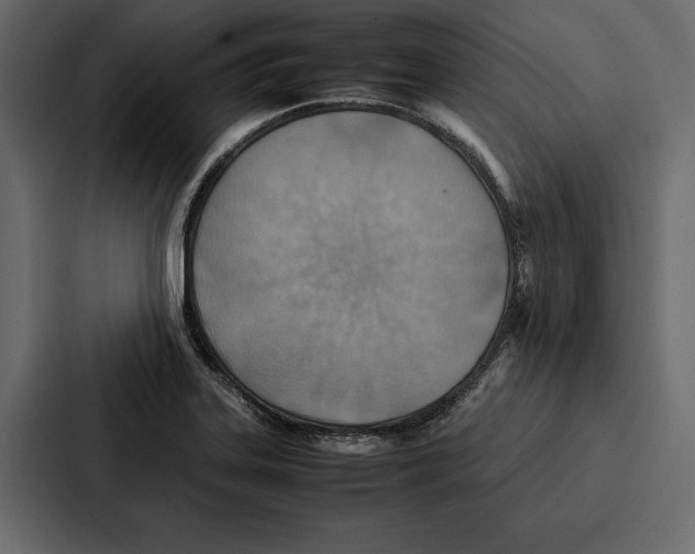 X0000086791323200705111807