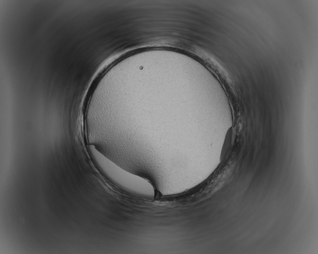 X0000086791324200705111807