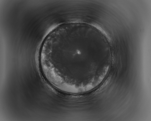 X0000086791325200705111807