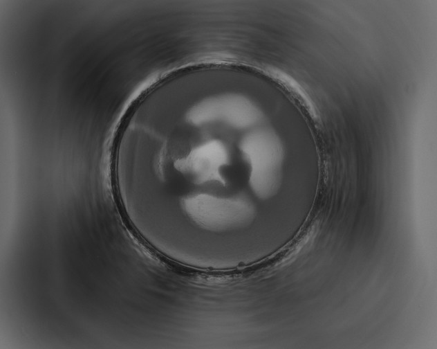 X0000086791326200705111807