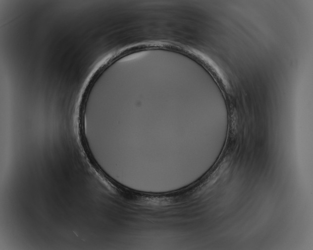 X0000086791327200705111807