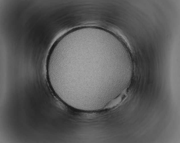 X0000086791328200705111807