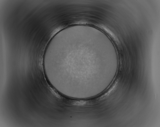 X0000086791329200705111807