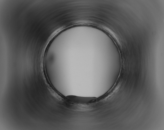 X0000086791330200705111807