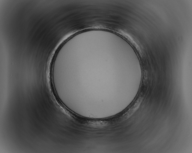 X0000086791331200705111807