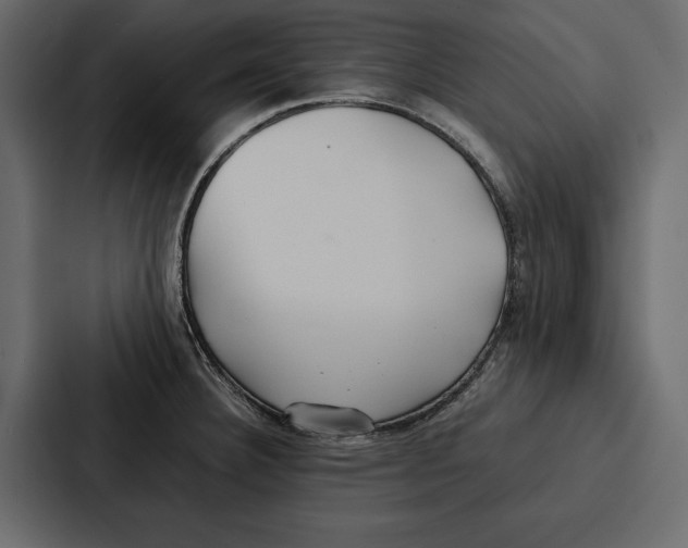 X0000086791332200705111807