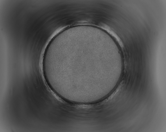 X0000086791333200705111807