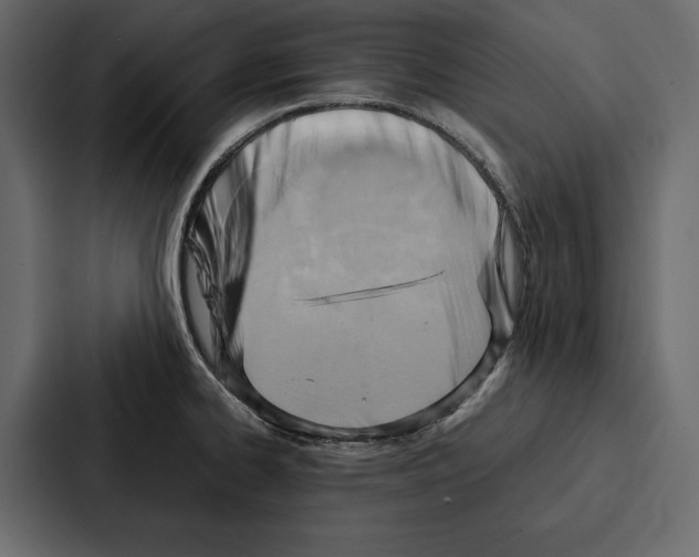 X0000086791334200705111807