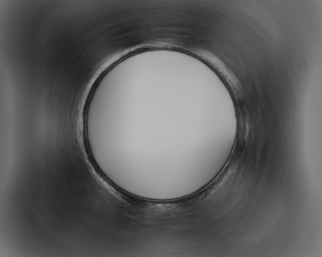 X0000086791335200705111808