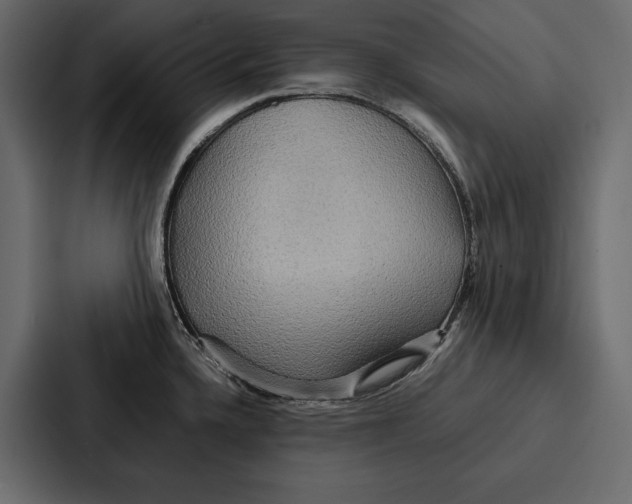 X0000086791336200705111808