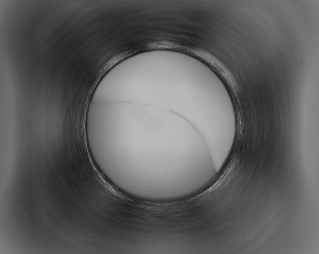 X0000086791337200705111808